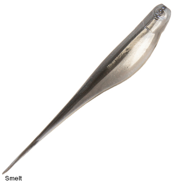 Z-MAN Scented Jerk ShadZ 4 inch Lure